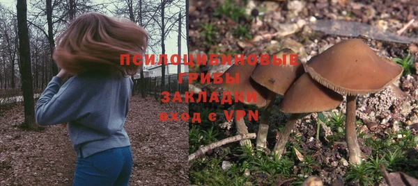Альфа ПВП Покров