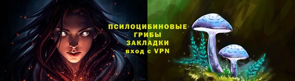 Альфа ПВП Покров