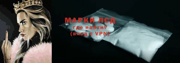 стаф Покачи