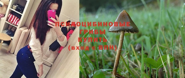 Альфа ПВП Покровск