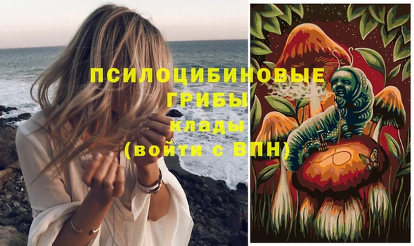Альфа ПВП Покровск